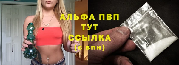 твердый Арсеньев