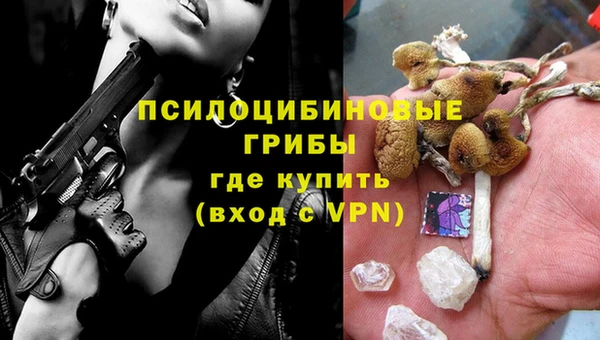 твердый Арсеньев