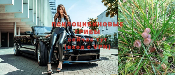 твердый Арсеньев